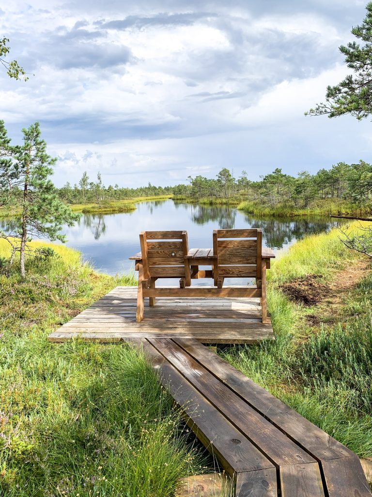 Great Kemeri Bog Boardwalk – The Best Thing To Do in Jurmala, Latvia