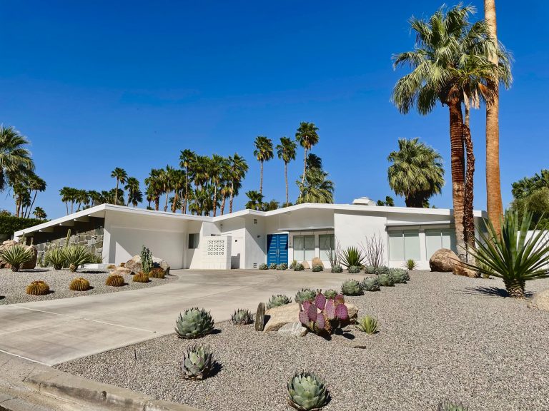 60 Palm Springs Instagram Captions